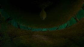 猫头鹰巢穴内景