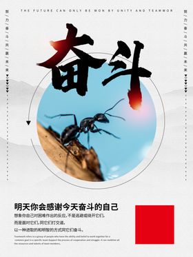 奋斗