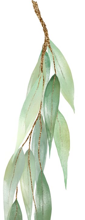 北欧小清新水彩植物图案