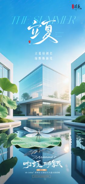 立夏节气海报荷叶地产蜻蜓