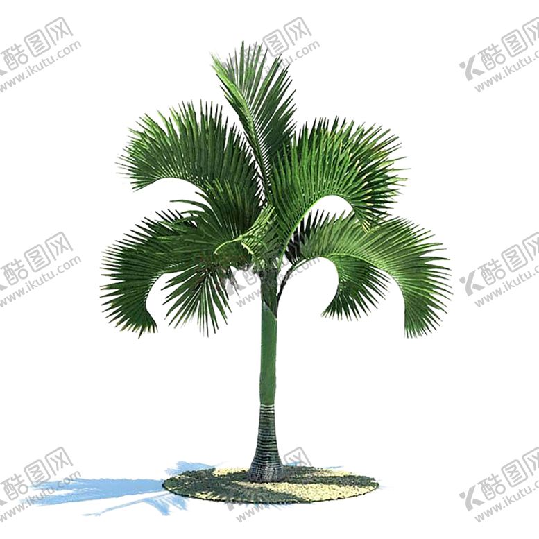 编号：27468410281548585508【酷图网】源文件下载-绿色相框