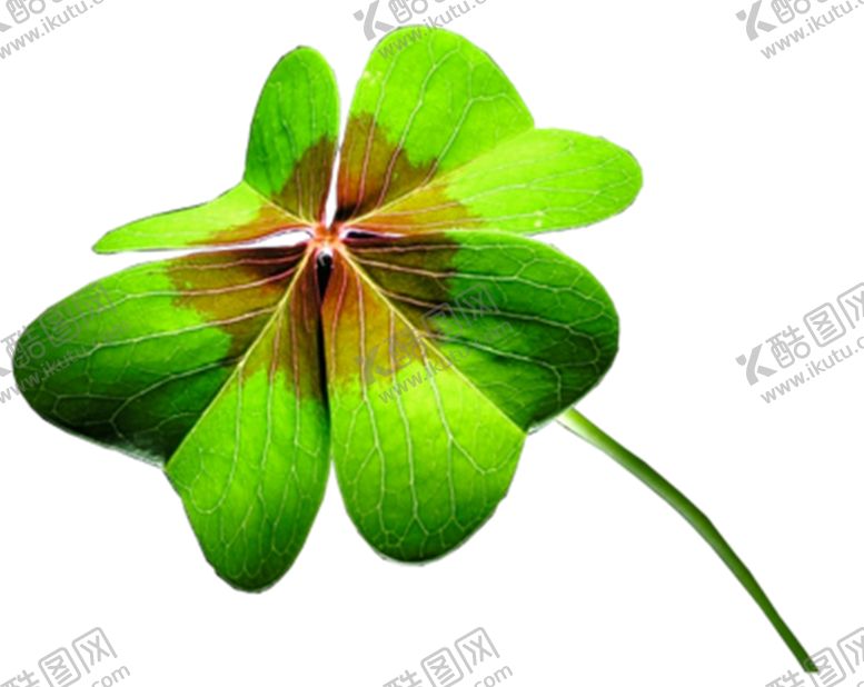 编号：98634709210923145775【酷图网】源文件下载-四叶草