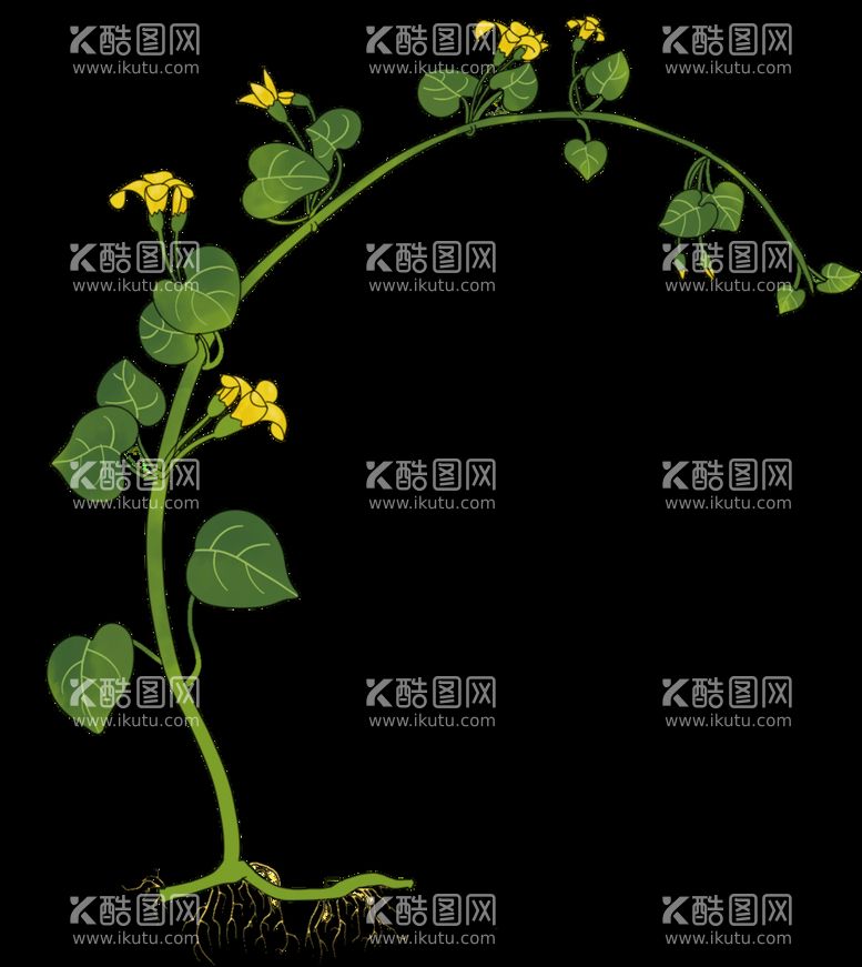 编号：74143611121544063167【酷图网】源文件下载-积雪草插画