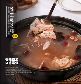 灵芝鸡汤