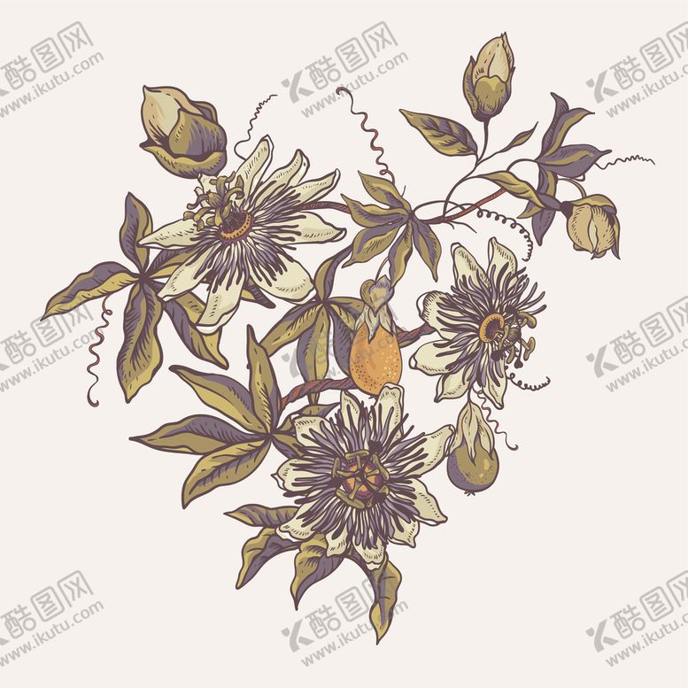 编号：21757606271918057866【酷图网】源文件下载-绿植花卉