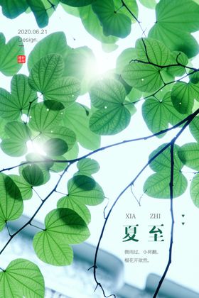 夏至海报 