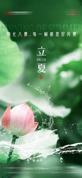 立夏海报二十四节气荷花天