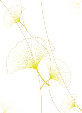 线描银杏叶
