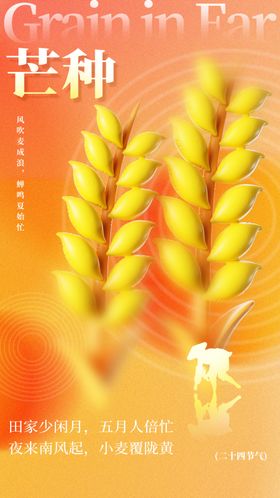 芒种