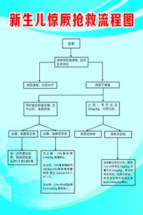 编号：43108209250424439286【酷图网】源文件下载-羊水栓塞抢救流程图