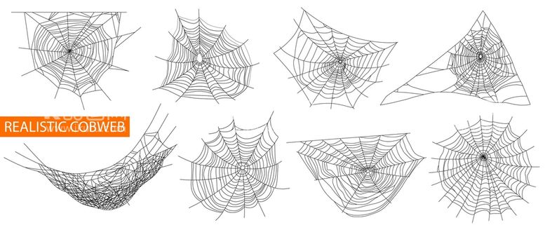 编号：03216910090012596418【酷图网】源文件下载-蜘蛛网