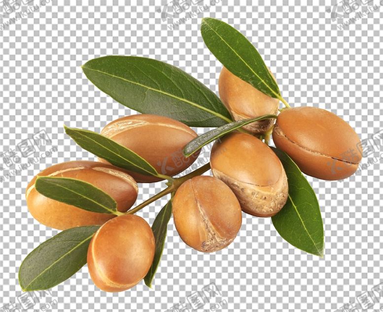 编号：25644510211049368214【酷图网】源文件下载-摩洛哥坚果