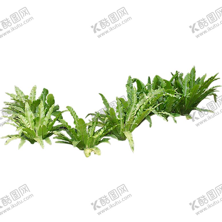 编号：92341410050833245930【酷图网】源文件下载-绿色植物