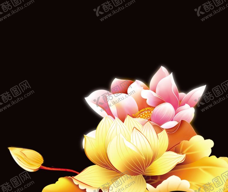 编号：32463106280716579980【酷图网】源文件下载-荷花