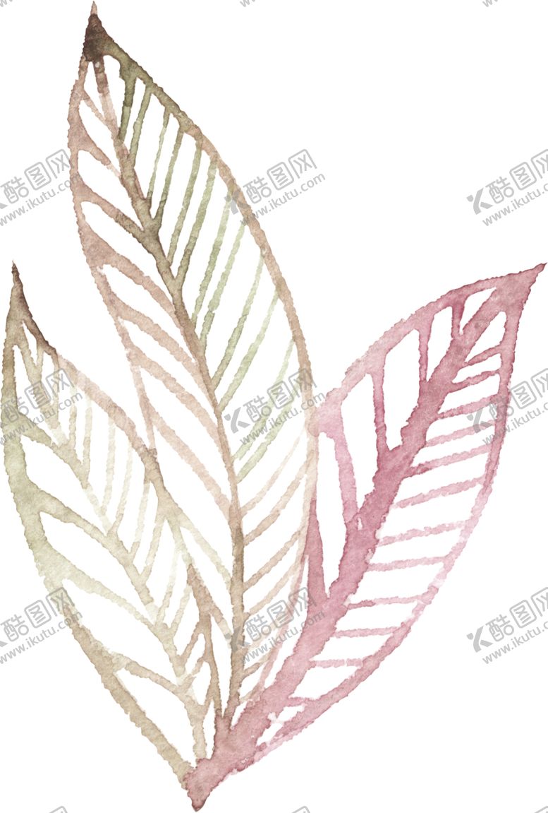 编号：26951005110750317715【酷图网】源文件下载-水彩手绘花卉花朵植物