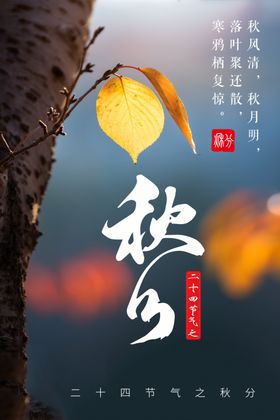 秋分