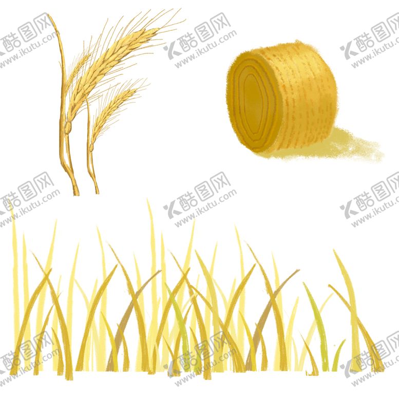 编号：76189310090224153459【酷图网】源文件下载-麦穗