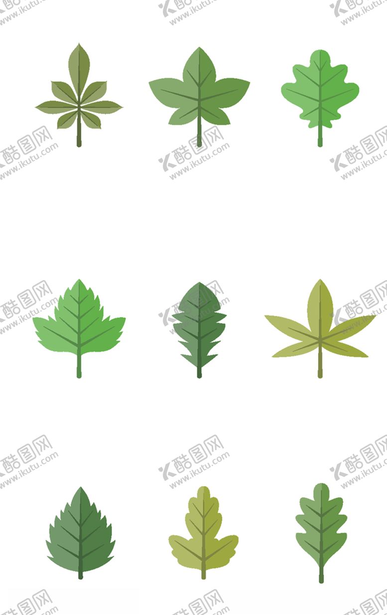 编号：22066609240042208011【酷图网】源文件下载-植物元素