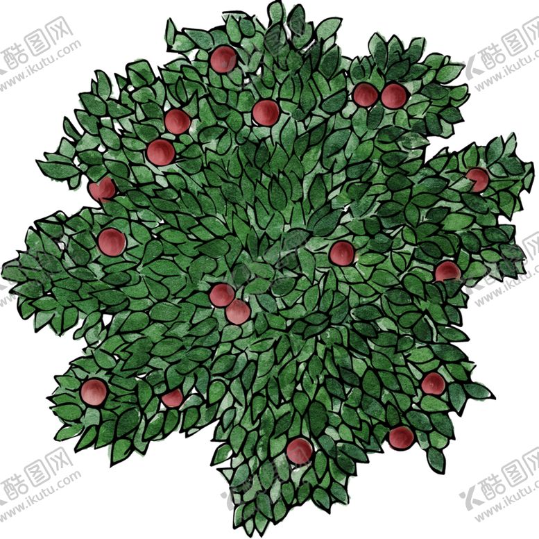 编号：70934709300610082881【酷图网】源文件下载-手绘植物