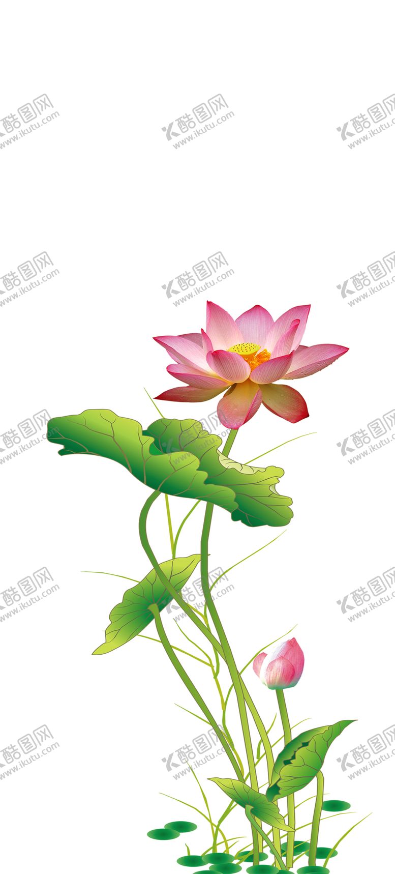 编号：91258809190641298134【酷图网】源文件下载-绿色背景