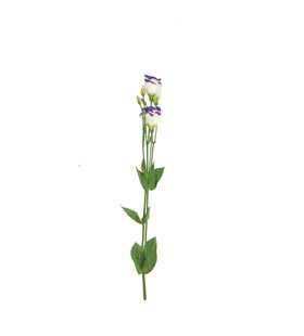 单只花花枝素材花