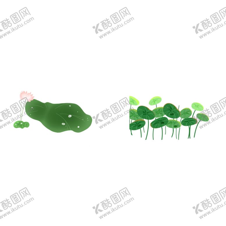 编号：49290206251623043085【酷图网】源文件下载-荷花