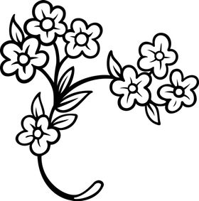 小清新花儿