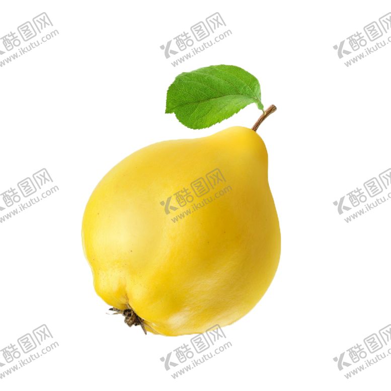 编号：33524510180111134336【酷图网】源文件下载-雪梨