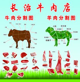 牛羊肉分割图