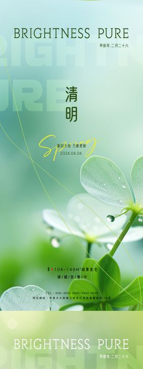 清明节气海报中国传统日新植物简约
