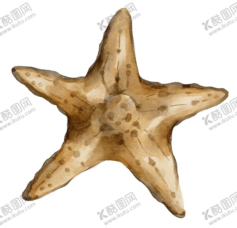 编号：98468601232042157382【酷图网】源文件下载-海洋元素