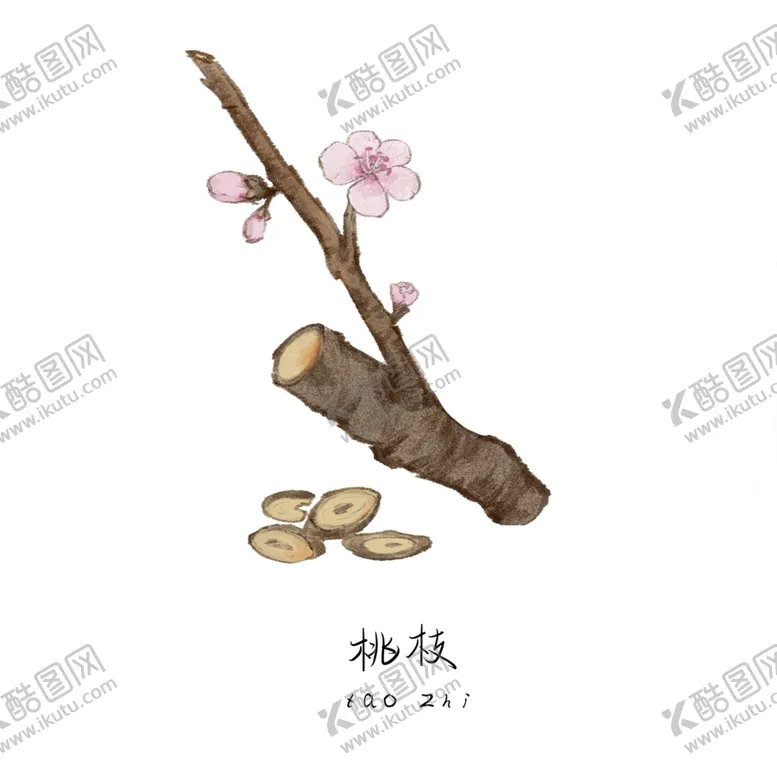 编号：19246303311130584510【酷图网】源文件下载-草本植物药材