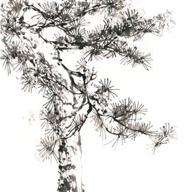 水墨中国风迎客松