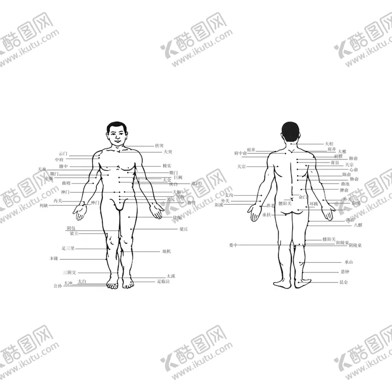 编号：35180404290828204368【酷图网】源文件下载-人穴位标注图