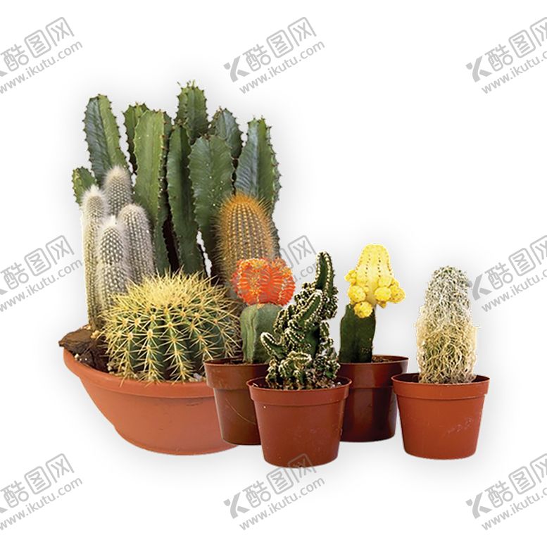 编号：15742110310811312332【酷图网】源文件下载-植物