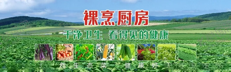 编号：28633701260011372325【酷图网】源文件下载-裸烹厨房海报