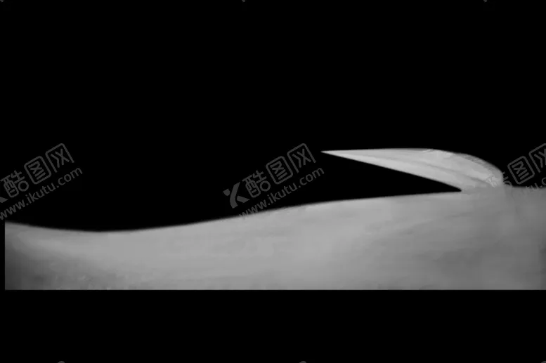 编号：26842407010155393829【酷图网】源文件下载-婚纱飘带
