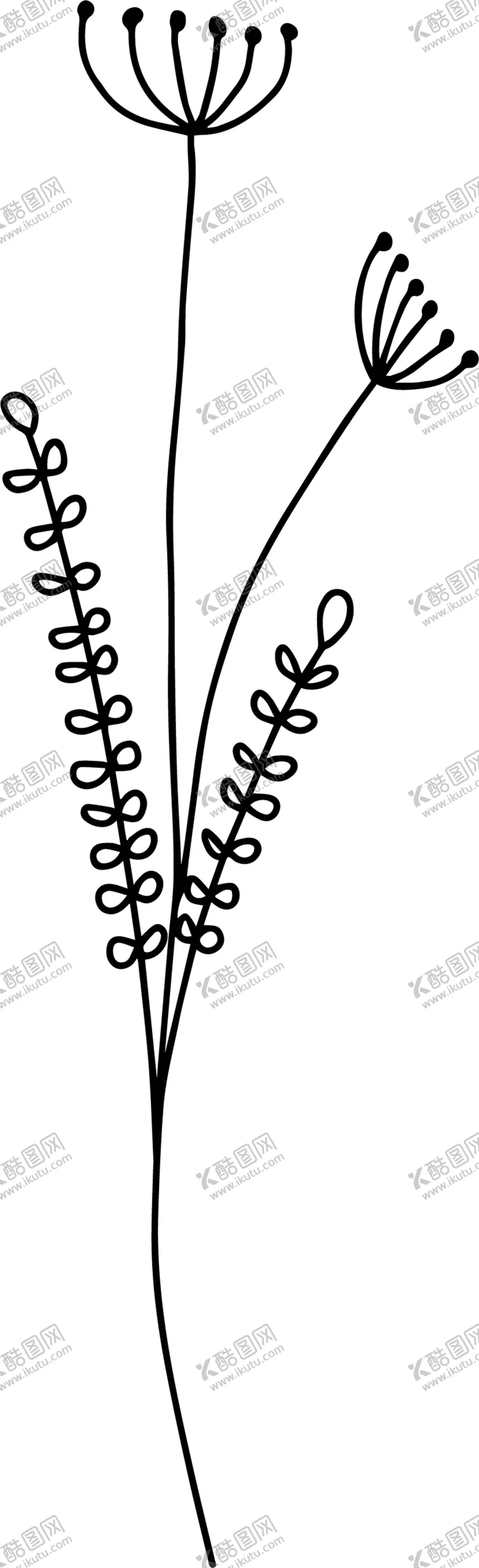 编号：25009206290503202134【酷图网】源文件下载-手绘花藤花纹