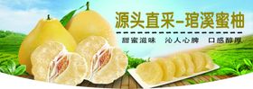 琯溪蜜柚