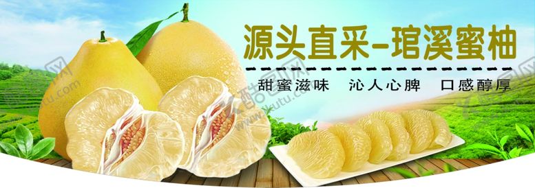 编号：91952407030717115761【酷图网】源文件下载-琯溪蜜柚