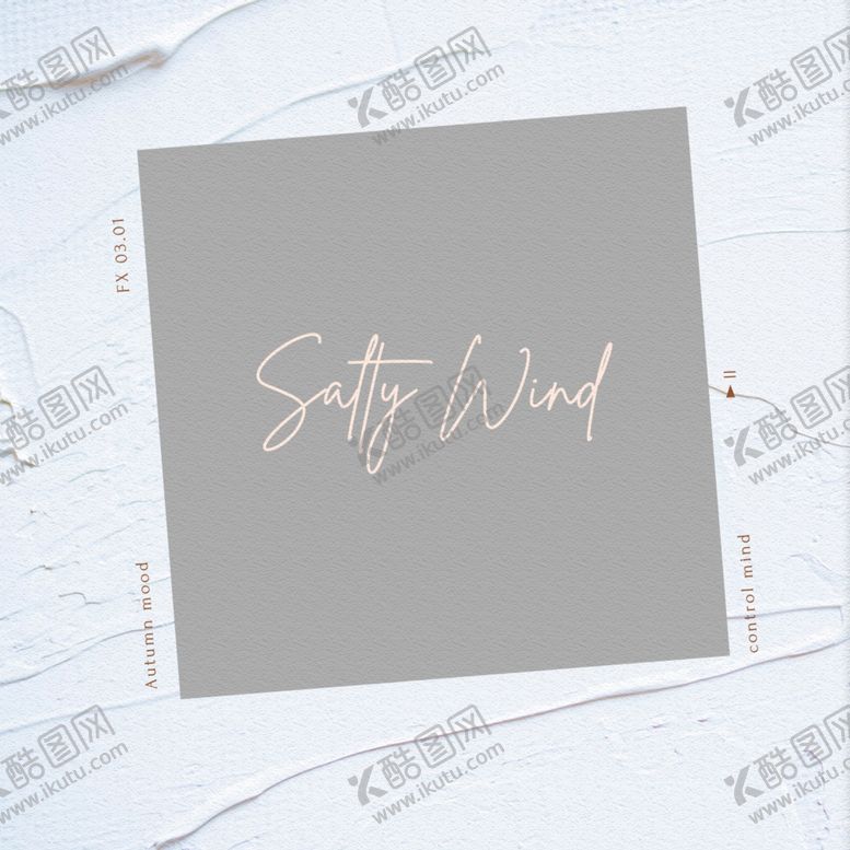 编号：31280710301511093600【酷图网】源文件下载-复古色调照片展示模板