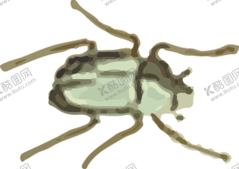 编号：73715910062142302670【酷图网】源文件下载-甲虫昆虫插画