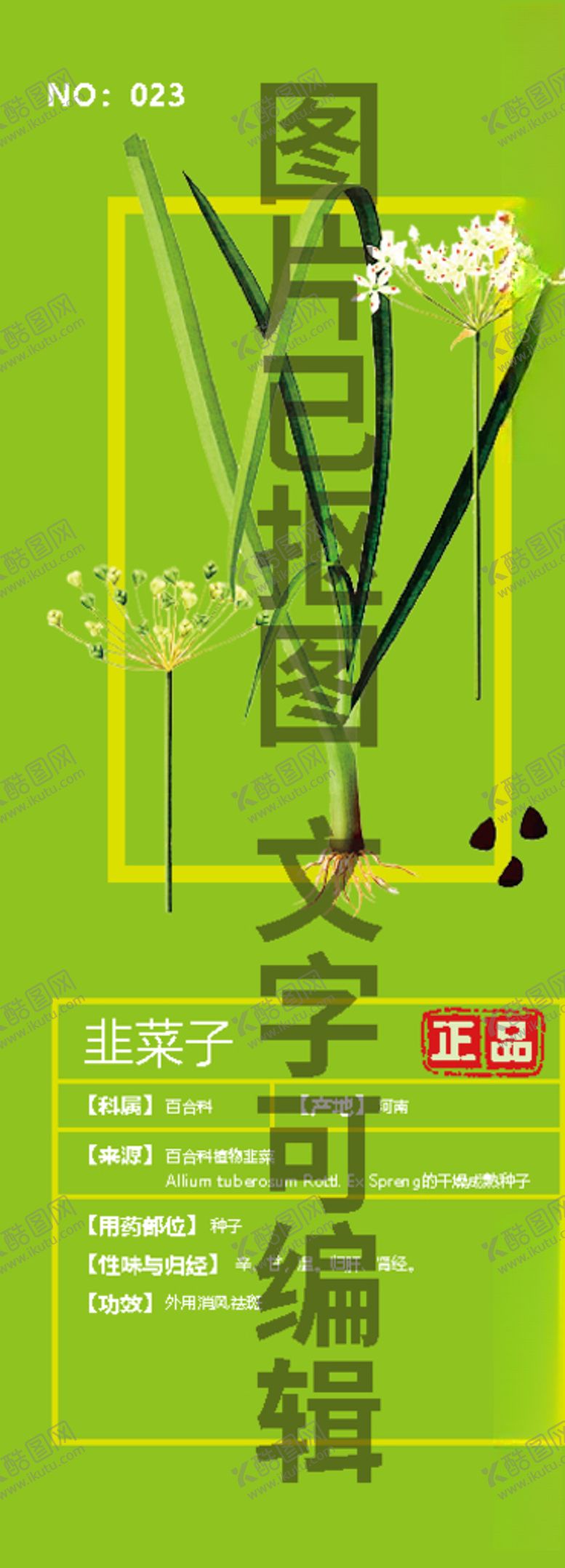 编号：85323710290219258190【酷图网】源文件下载-韭菜子