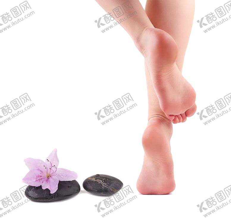 编号：69745206152038254860【酷图网】源文件下载-养生