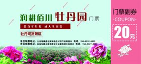 红色大气代金券门票优惠券模板