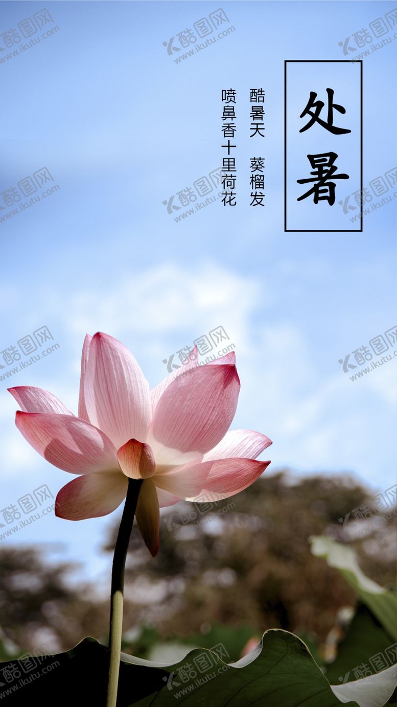 编号：58409609171000244273【酷图网】源文件下载-处暑海报
