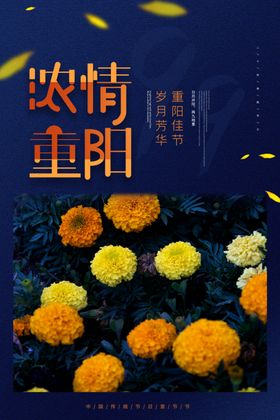 重阳节