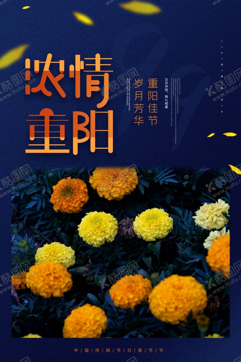 编号：35393906291438007533【酷图网】源文件下载-重阳节