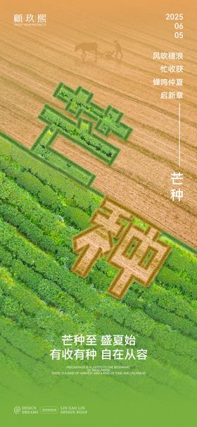 芒种收获种植创意海报