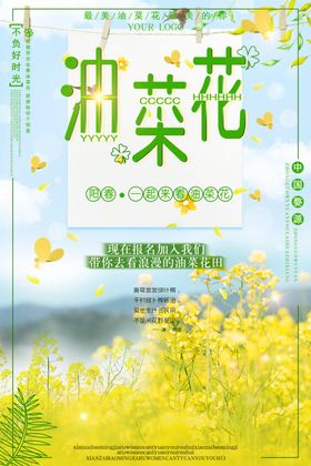 油菜花